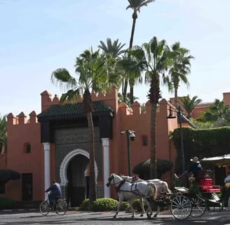 morocco marrakech a horse drawn carriage in front of a building