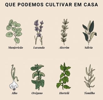 um pôster com ervas e ervas no meio do quadro