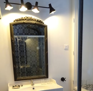 a bathroom with a sink and a shower