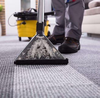 image montrant une prestation de nettoyage de tapis à Rennes