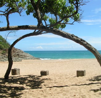 tillet voyage france guadeloupe