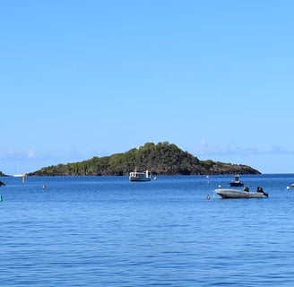 Reserve Cousteau voyage france guadeloupe