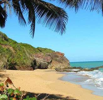 Crique voyage france guadeloupe
