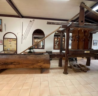 musee voyage france guadeloupe