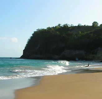 Tillet voyage france guadeloupe