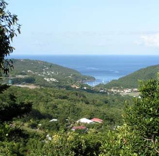 cafeière voyage france guadeloupe