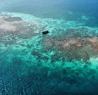 will evasion voyage france guadeloupe