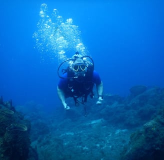 basse-terre-plongee voyage france guadeloupe