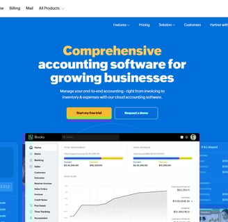 zoho website page displaying a business account