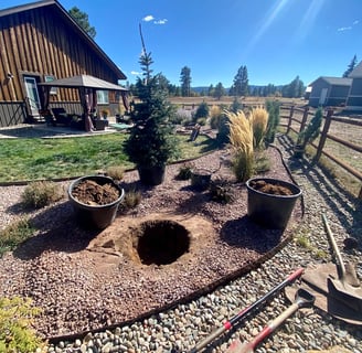 Earthly Elevations tree planting in Pagosa Springs, Colorado 