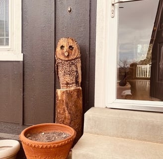 chainsaw carving of a Barred Owl made from an aspen log, handmade in Pagosa Springs, Colorado