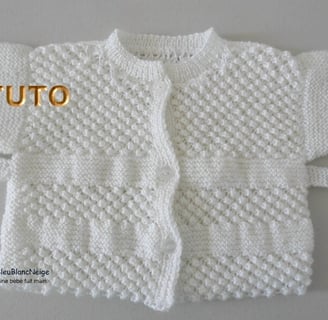 modèles tricot layette Bergere de France