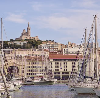SEMINAIRE MARSEILLE OLEIS TRAVEL RADISSON MARSEILLE