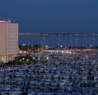 seminaire montpellier oleis travel mercure grande motte nuit