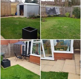 garden before transformation