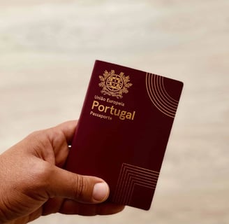 a person holding a passport and a passport