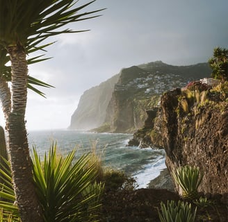 a palm tree and a mountain in the background