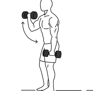 Ilustración lineal en blanco y negro de una persona realizando curl de bíceps con mancuernas