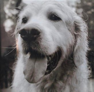 Marley