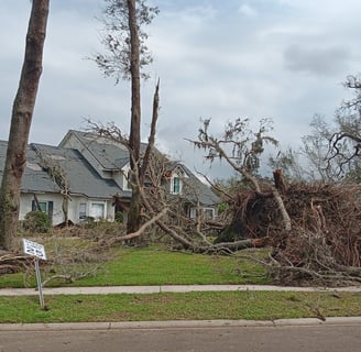 a man standing in front of a house with a tree that has fallen down
