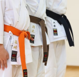 Rongzhiyue: Karate belts