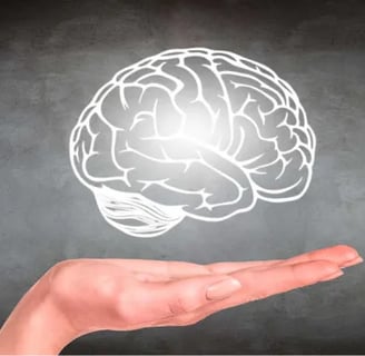 Fosfatidilserina: O Suplemento Que Turbina a Memória, o Foco e a Saúde Mental
