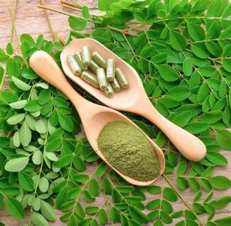 Moringa em Pó: O Que É, Para Que Serve, Benefícios