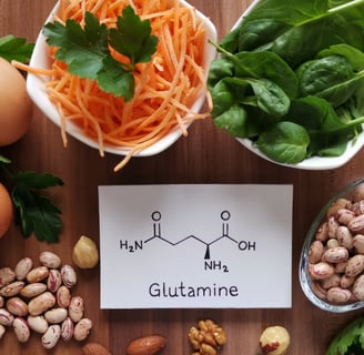 Glutamina: O Que É, Para Que Serve e Seus Benefícios para a Saúde e Performance