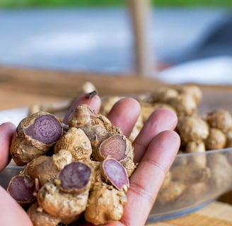 Black Ginger: Benefícios e para que serve