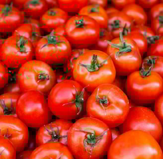Tomate: Benefícios, Vitaminas, Tipos e Por Que Esse Alimento é um Aliado da Saúde