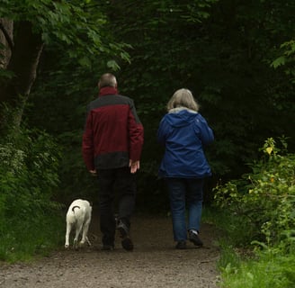 retirement strategies, saving early, budgeting,