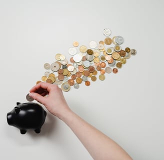 superior spender, millenials guide to financial freedom, personal finance