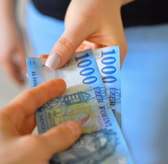 inancial freedom, debt-free, debt-free living, debt help, zeroing in on debt, money matters, 