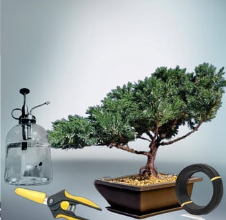 image of bonsai boi starter tree bundle kit.