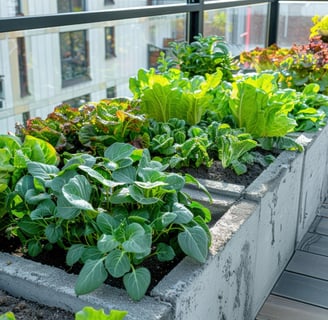 Raised garden beds in a balcony for Spring Texas landscaping.