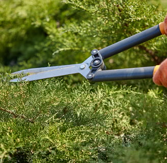 Person cutting through the branches of a tree for Spring Texas landscaping.