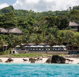 NIHI Sumba beach view