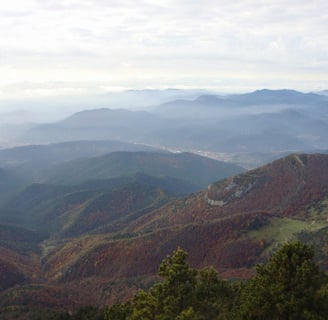 VISTES DES DE SANT AMAND