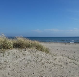 blick auf eine duene, den strand und die ostsee, direkt von unserem strand apartment binz prora