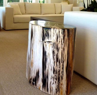 Petrified Wood Trunk as an end table