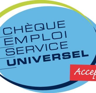 Cesu cheque emploi services universel