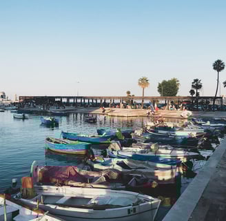 Bari Hafen