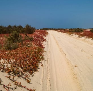 Boa Vista - Kap Verde