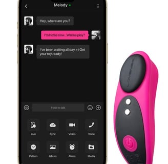 a lovense ferri showing it can be remotely controlled