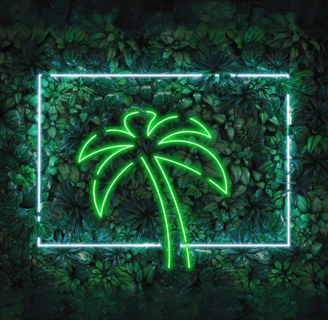 a neon green neon sign with a palm tree