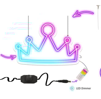 This is an assembly diagram of a neon light, including accessory details.