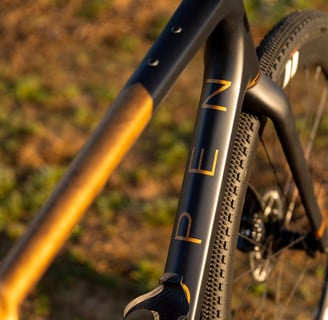 a custom painted OPEN CYCLE Wide with black and gold