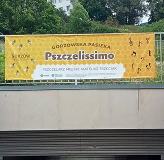 Pasieka Miejska Pszczelissimo za Filharmonią Gorzowską