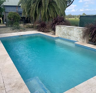 salt chlorinator. clean and safe pool with new poo pump 
