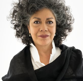 artista-doris-salcedo